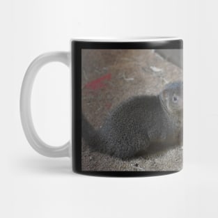 Mongoose Mug